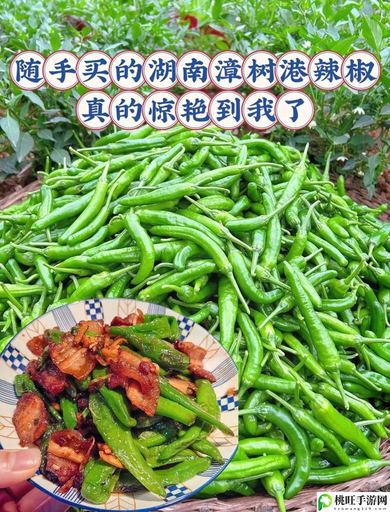 大香区煮伊区2020小辣椒