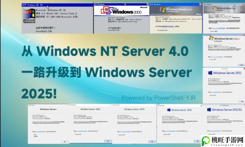 日本windowsserver