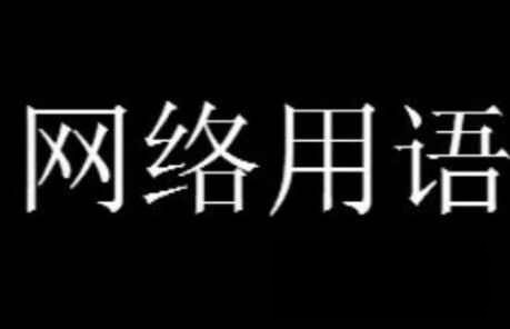 ylg易拉罐什么意思 ylg是什么网络梗-游戏系统深度解析与策略