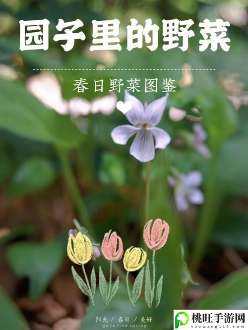 吃小花园的正确方法