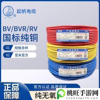 荷兰少归BVBV