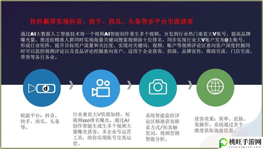 seo短视频网页入口引流