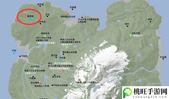 森林之子霰弹枪在哪里获得-游戏世界与冒险之旅