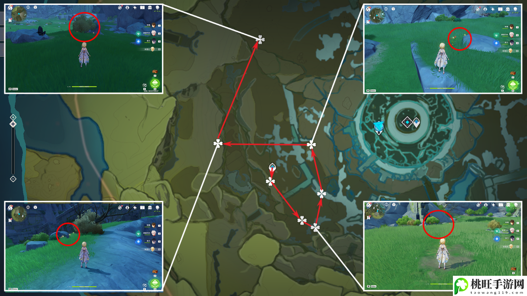 原神风车菊分布图攻略-攻略助你技能精进