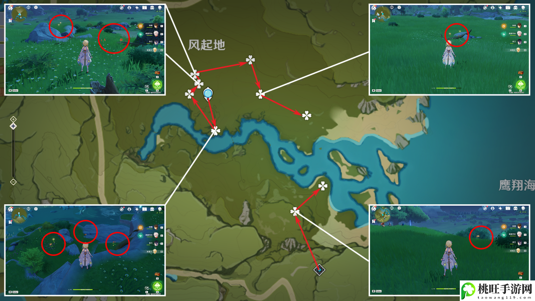 原神风车菊分布图攻略-攻略助你技能精进