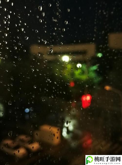 陪读晚上翻雨覆雨的背景故事