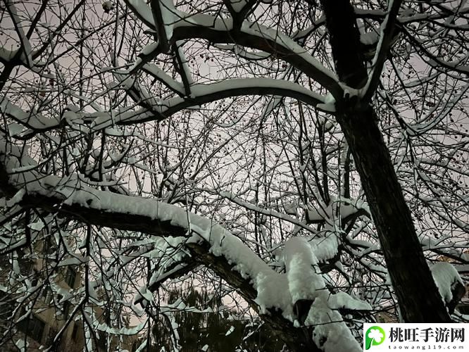 小雪爽⋯好大⋯快⋯深点