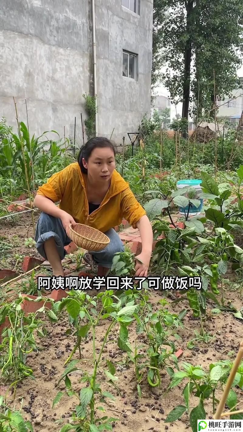 饥饿的阿姨5需要灭火