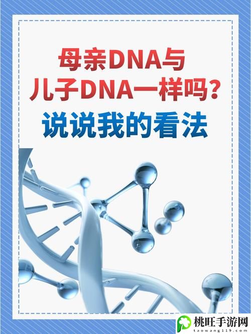 母亲的DNA与儿子的DNA