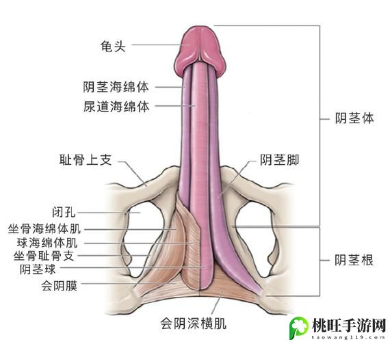 哪-...你的鸣巴好大