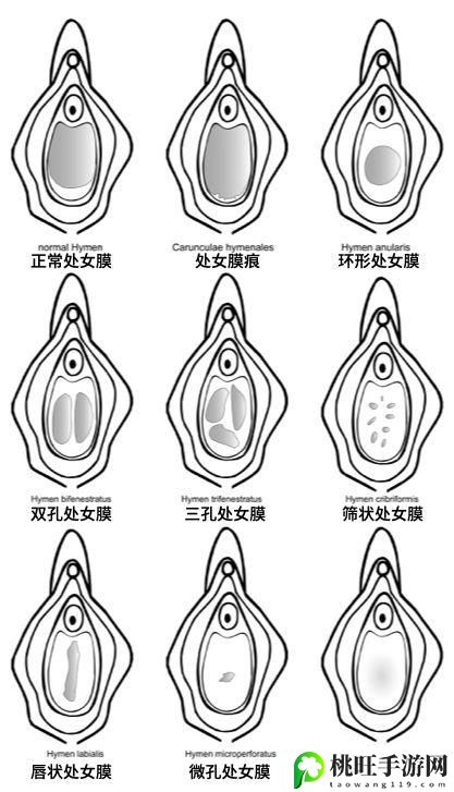 处破女处破全过第一次