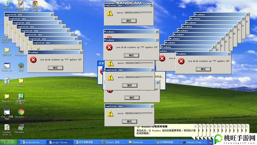 中国老奶奶vpswindowsHD