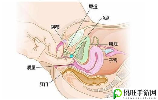 大荫蒂BBBBBB大荫蒂