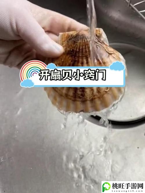 宝贝你的扇贝开了