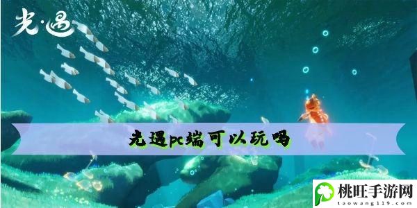 光遇云野赏花任务怎么做-任务系统的全方位解析